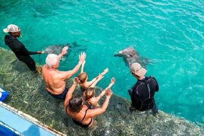 Dolphin_encounter_verkleind2